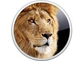 Lion Update