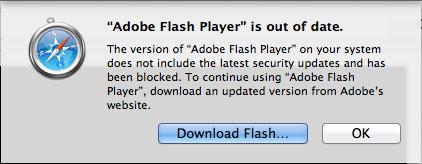 adobe flash plug