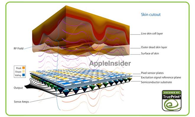 Appleの「iPhone 5S」は凸型サファイアホームボタンに埋め込まれた指紋センサーを誇る