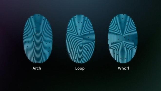 Your fingerprints are turned into numeric strings and encrypted for storage in the Secure Enclave