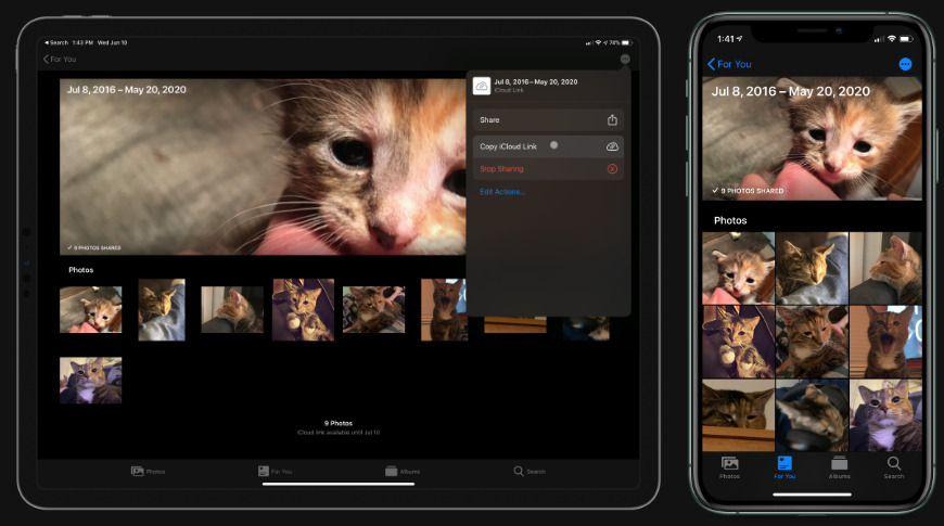 I can share full resolution photos of Harvie using the iCloud sharing feature