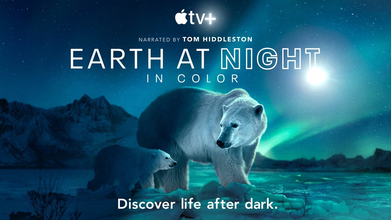 Earth At Night In Color