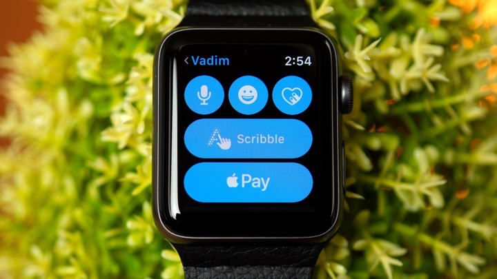 How do you set up online apple pay on apple watch