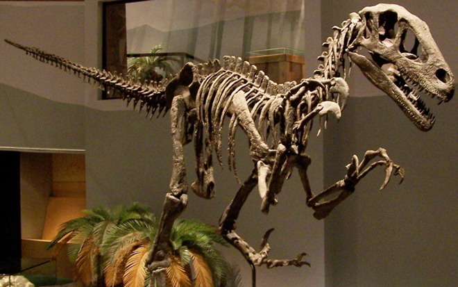 The utahraptor, a Cretaceous dinosaur.