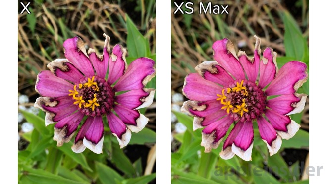 iPhone xs flower detail