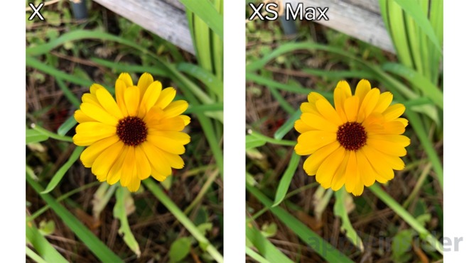 iPhone xs minimal focus range