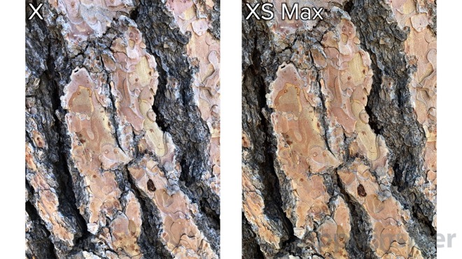 iphone xs tree detail comparison