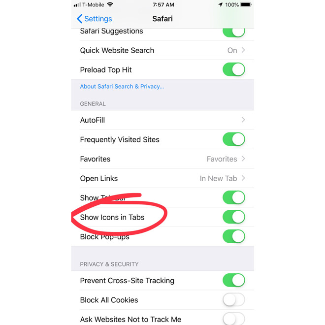 iOS 12 Safari settings