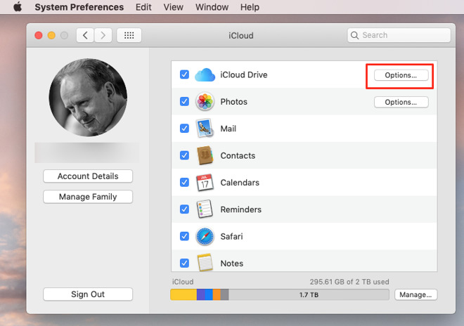 Switching on iCloud Drive