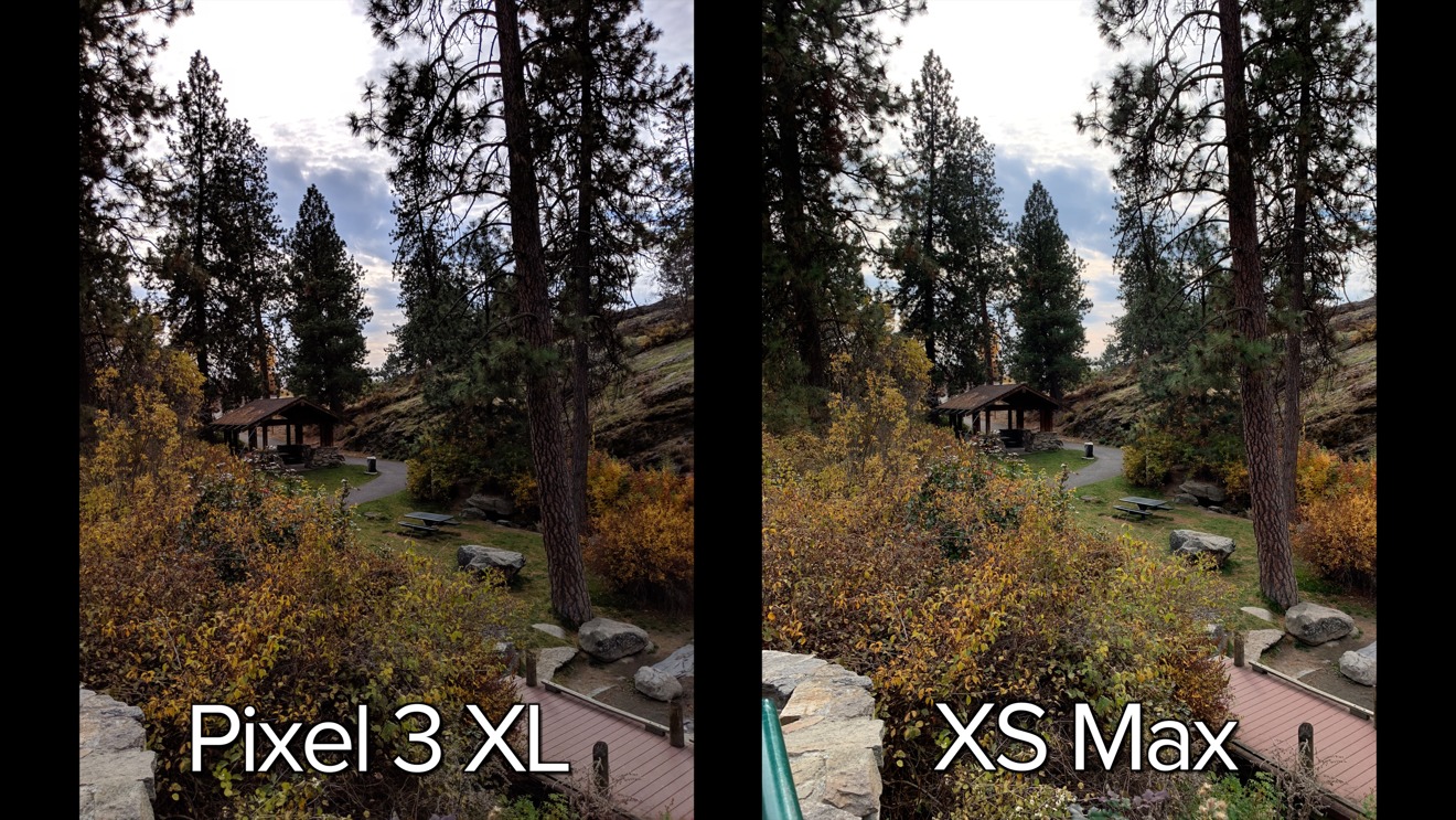 Pixel 3 XL (left), iPhone XS Max (right) testing exposure on trees