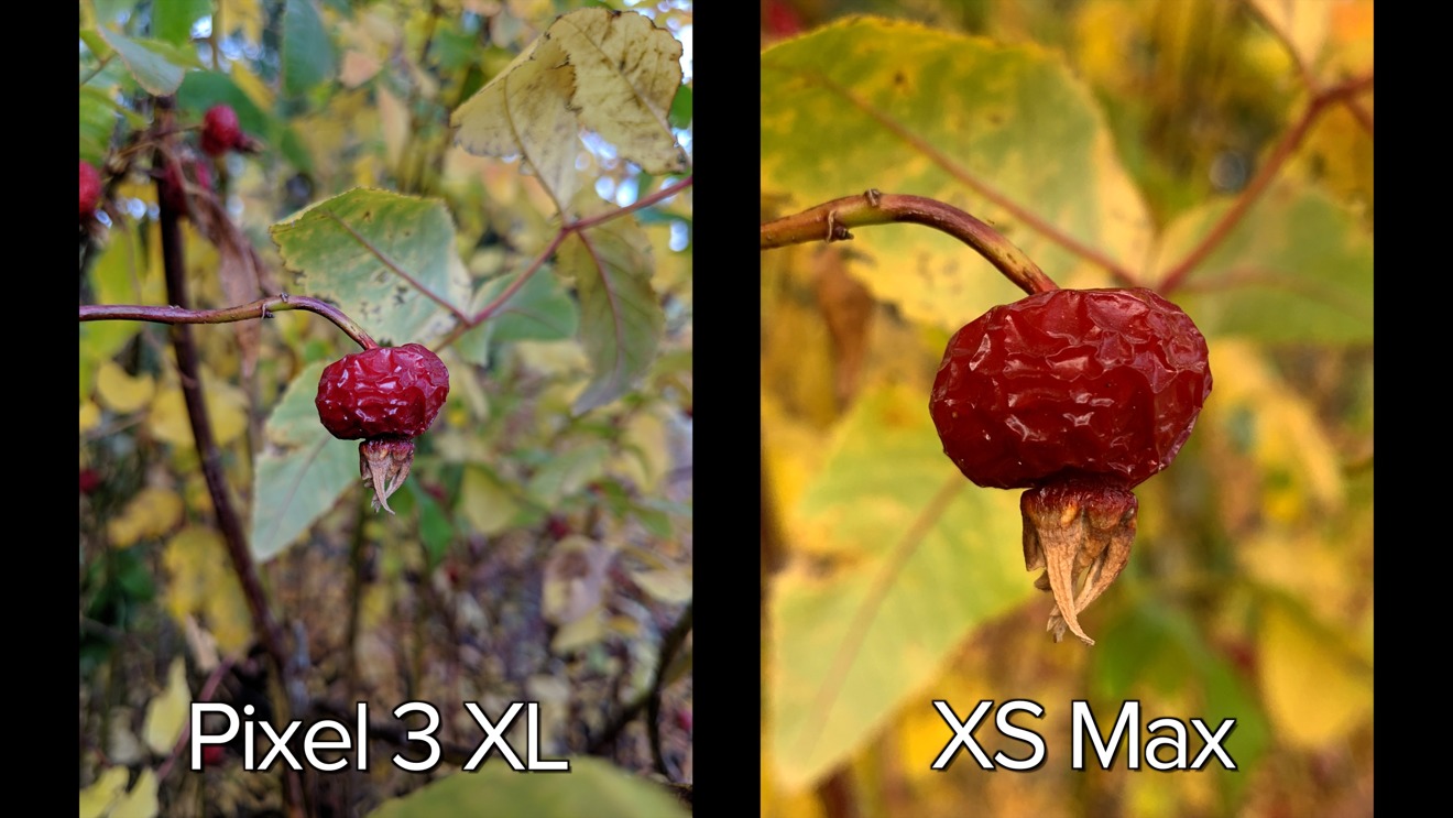 Pixel 3 XL (left), iPhone XS Max (right) wide macro photo detail