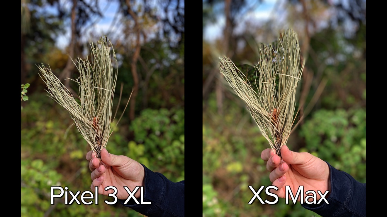 Pixel 3 XL (left), iPhone XS Max (right) extreme portrait test using pine needles