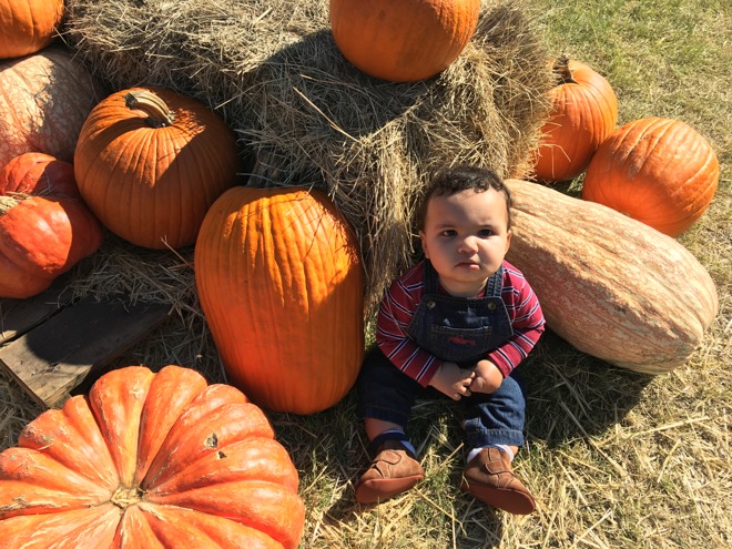 Pumpkin patch