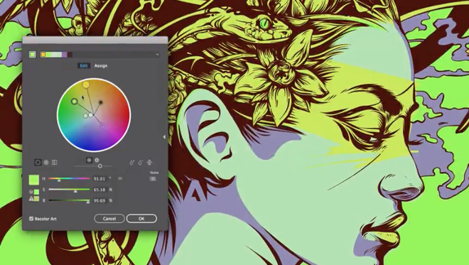 Adobe Illustrator in the Creative Cloud suite