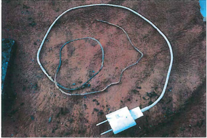 Remains of iPhone charging cable, from the Township of Langley Fire Department Field Report