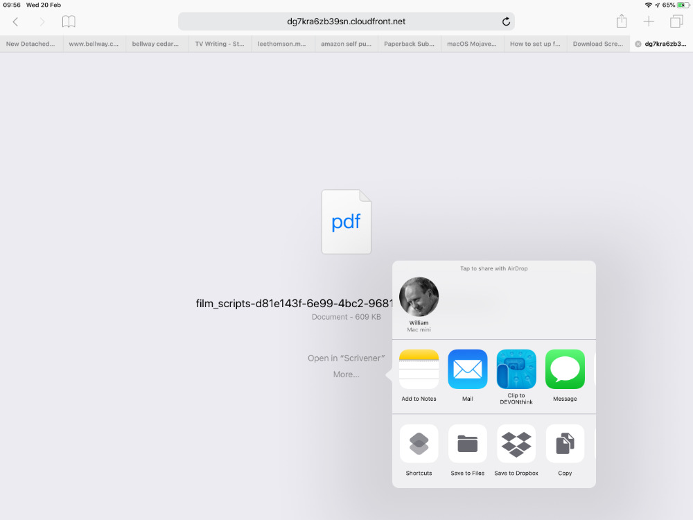 If Safari can't display a PDF for any reason, it offers to hand you over to an app that can