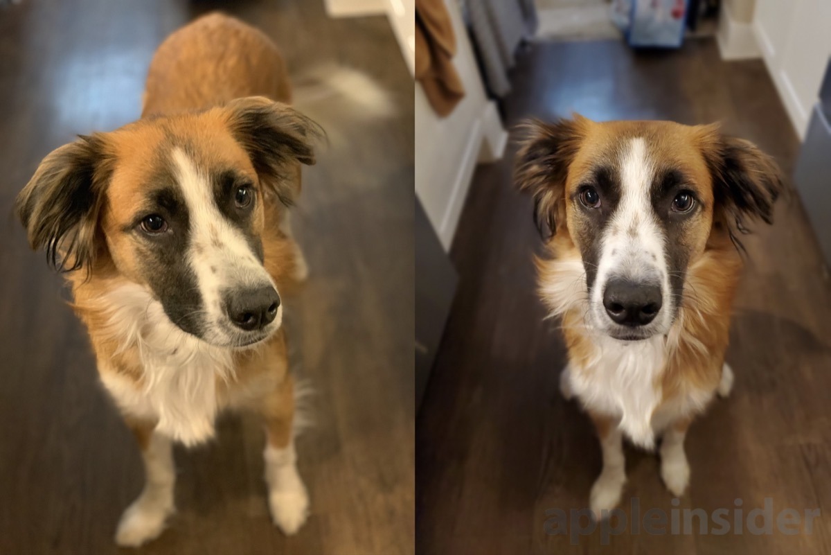 iPhone XS Max (left) and Galaxy S10+ (right) sample images