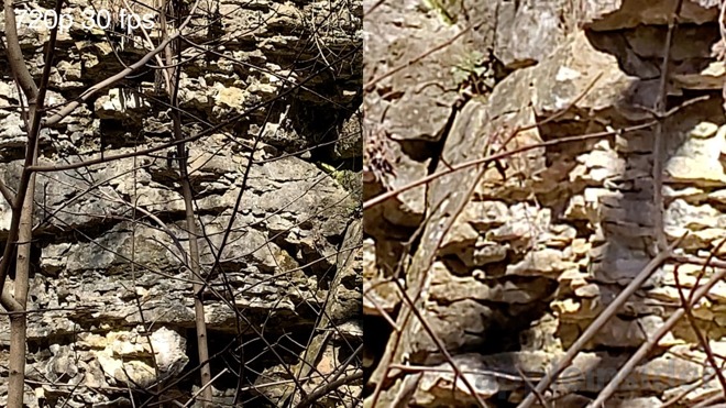 iPhone XR digital zoom max sample (left) and S10e (right)