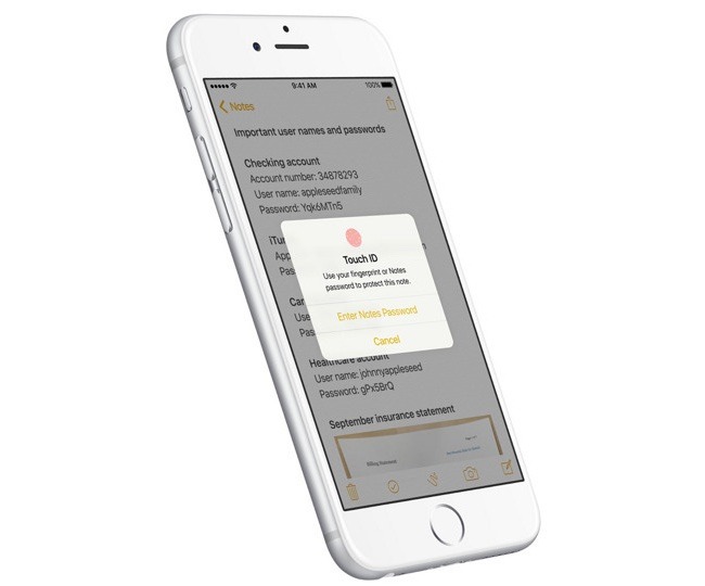 iPhone không nhận vân tay (Touch ID)? Nguyên nhân và cách khắc phục -  Thegioididong.com