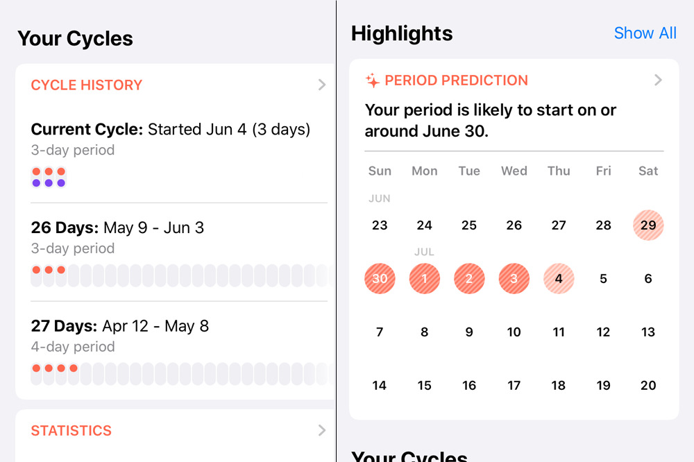 View menstrual cycle predictions and history in Health on iPhone