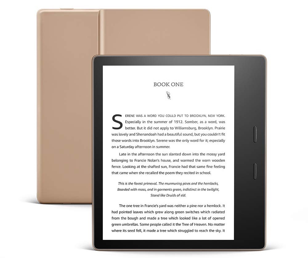 Kindle Oasis 2019 features the same design as last year's model.
