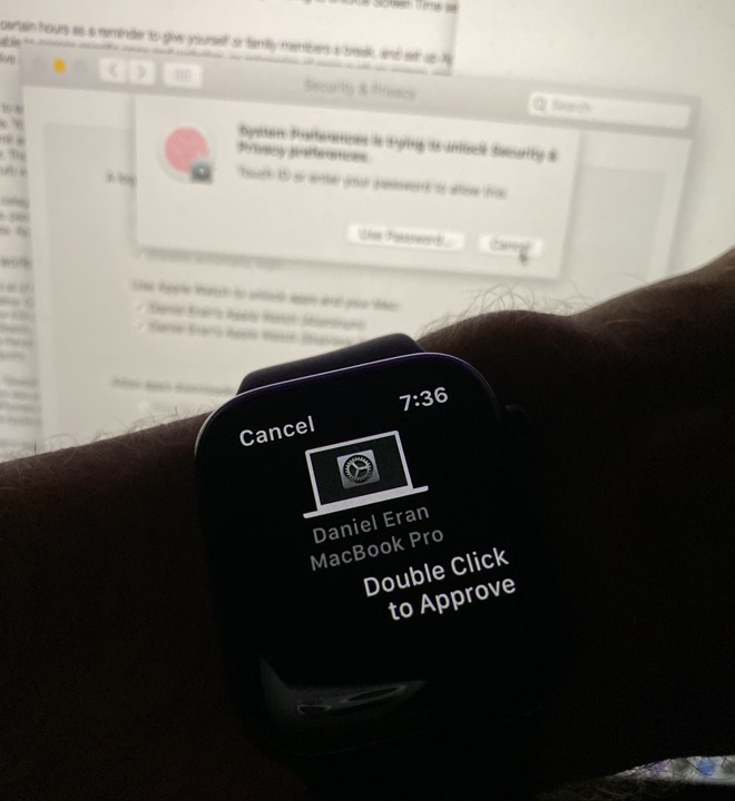 Apple Watch authentication