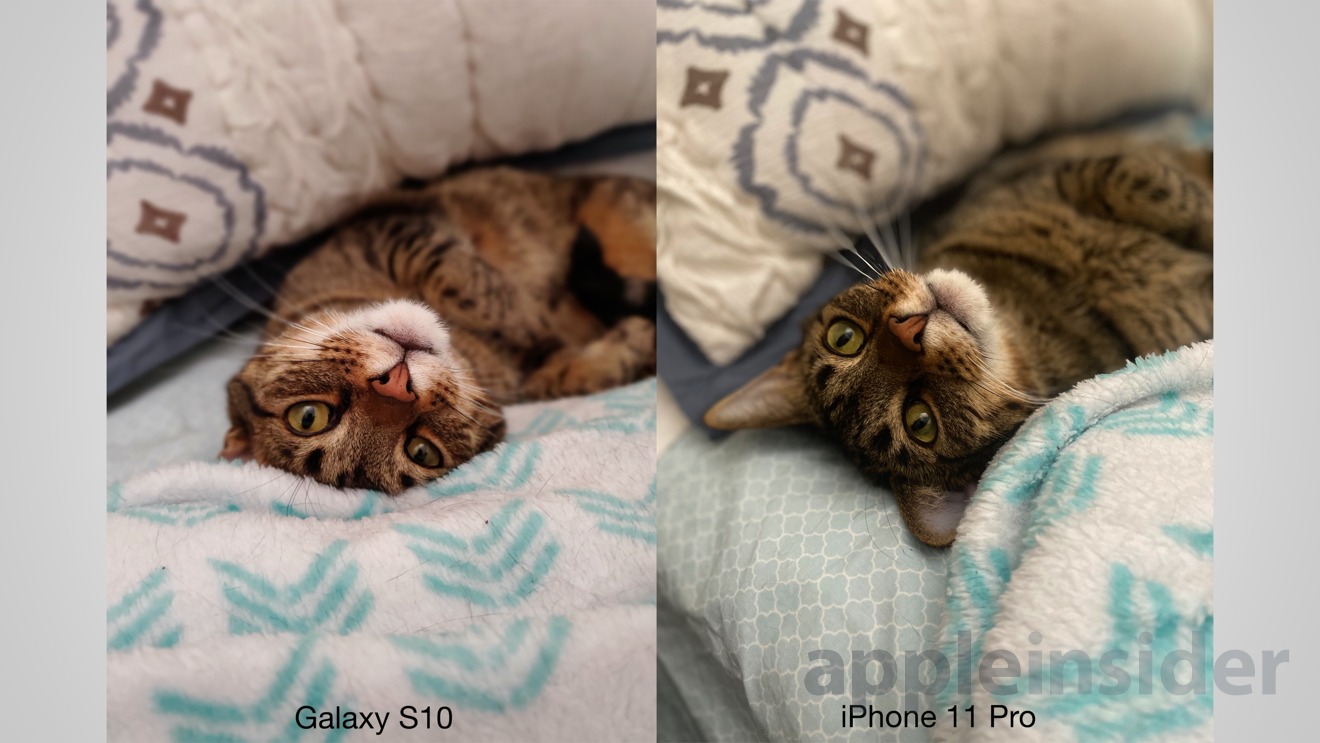 Samsung Galaxy S10 Live focus (left) versus iPhone 11 Pro Portrait Mode (right)