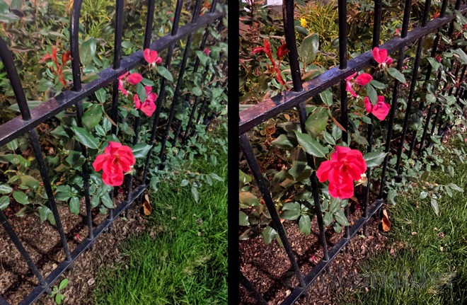 Night mode on Pixel 4 (left) and iPhone 11 Pro (right)
