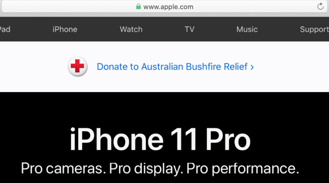 Detail from Apple's US website calling for donations