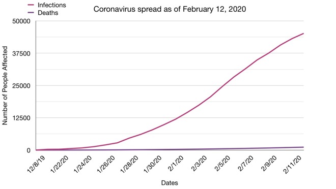 Coronavirus infection vs death toll so far; data provided by WHO