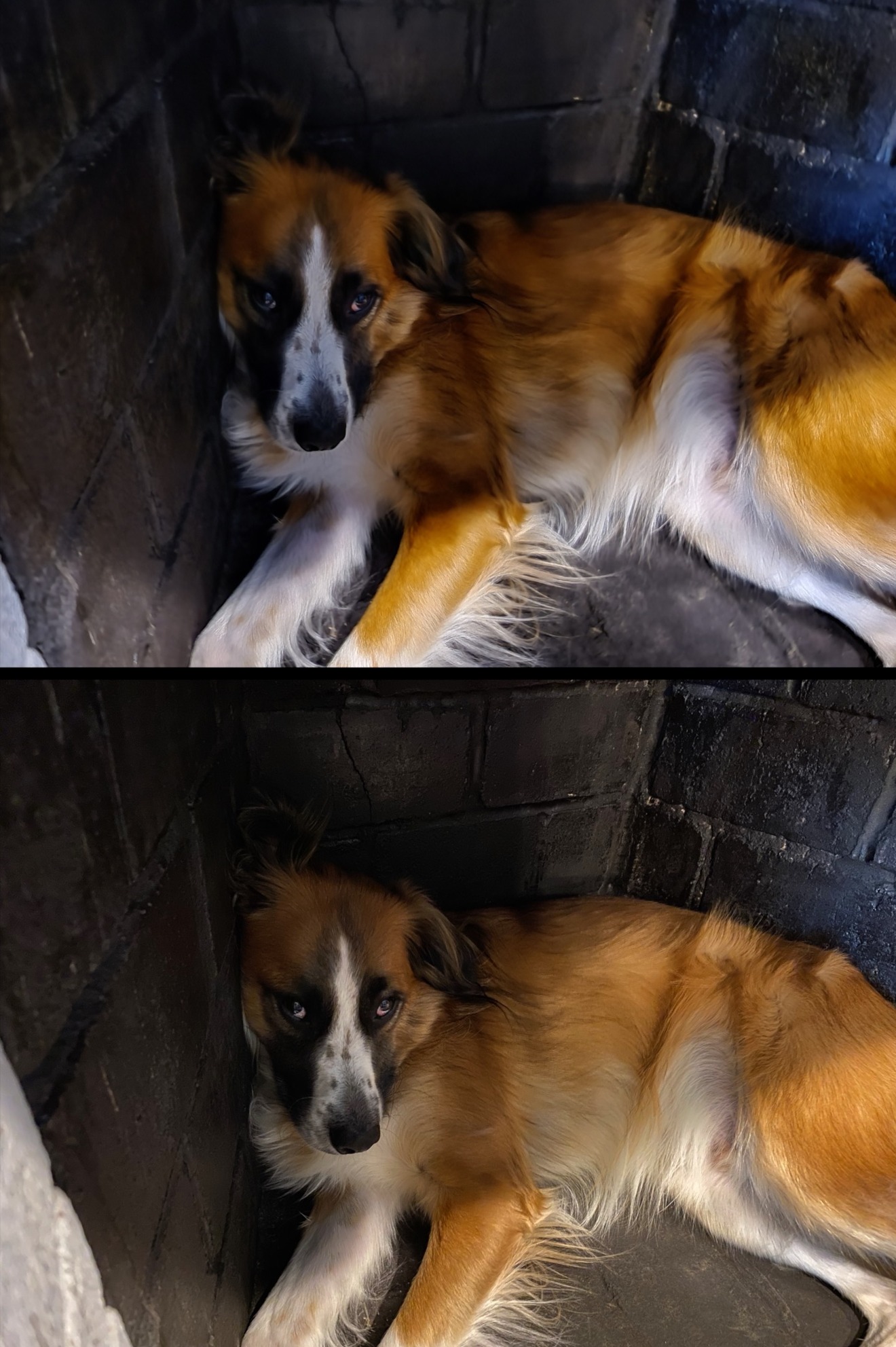 A handheld night shot on the Samsung Galaxy S20 Ultra (top) versus the iPhone 11 Pro Max (bottom)
