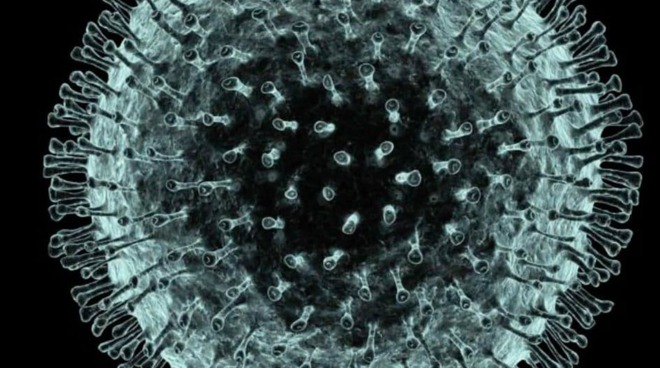 virus