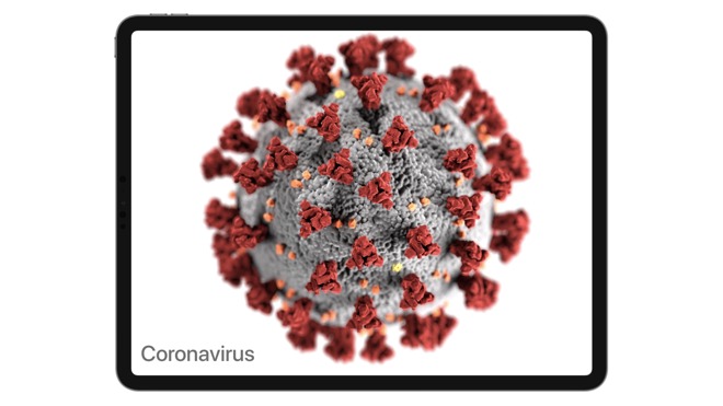 The COVID-19 disease is caused by a coronavirus