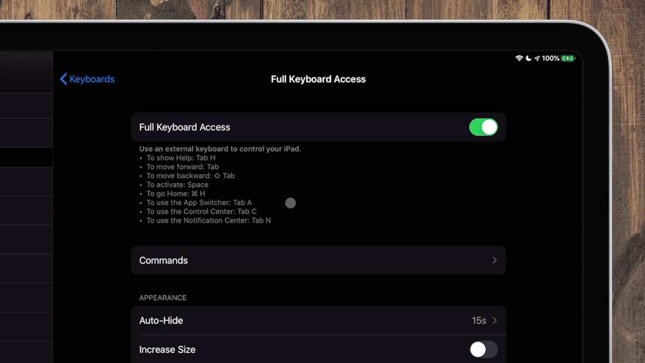 Enabling Full Keyboard Access in iPadOS 13.4