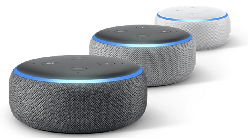 can the echo dot