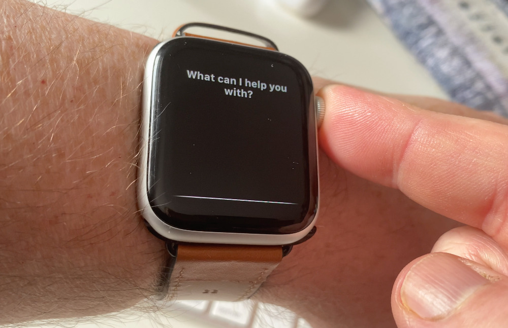 Press and hold the Digital Crown to call up Siri without using the magic words