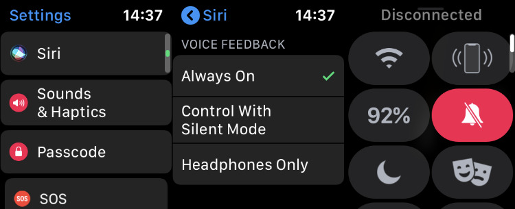 You have to tell the Apple Watch that Silent Mode means you don't want Siri to talk to you.