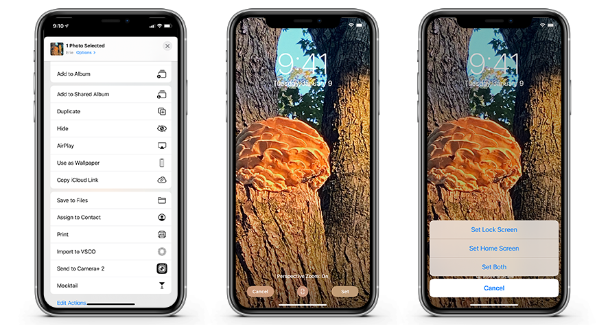 How To Customize Your Home Screen In Ios 14 Appleinsider