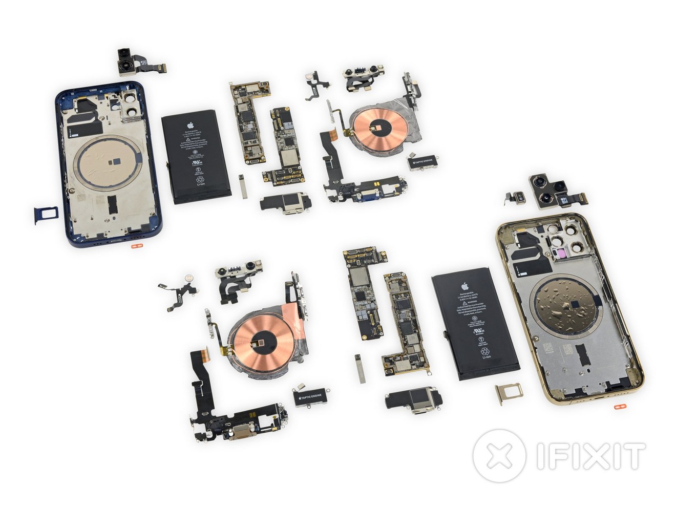 A side-by-side component view of the iPhone 12 and iPhone 12 Pro [via iFixit]