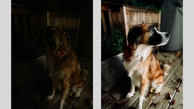 iPhone 11 Pro low-light portrait shot versus night mode portrait on iPhone 12 Pro