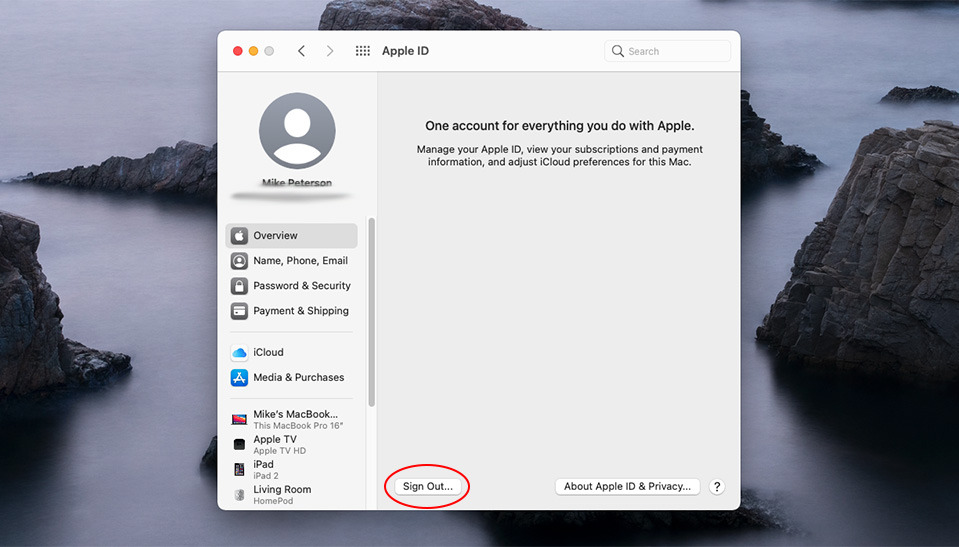 Apple id not working on macbook pro