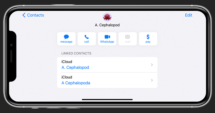 photo of How to merge contacts on iPhone or iPad image