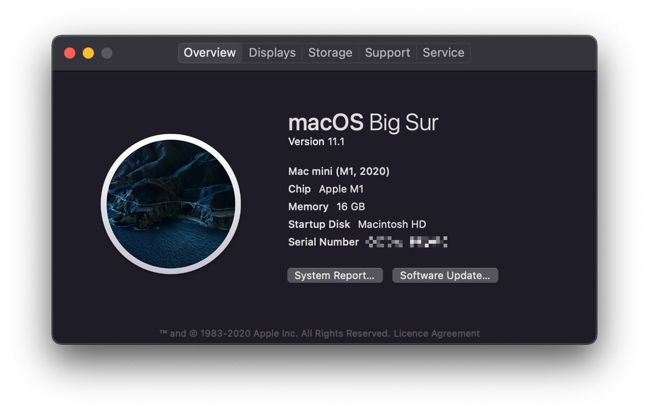 Checking macOS can bring up the serial number, but the Service tab links you to the Check Coverage page instead of giving you direct warranty status data. 