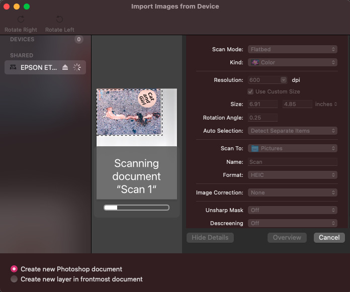 You can easily import scans directly from programs such as Photoshop