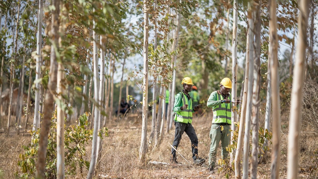 photo of Apple announces $200 million Restore Fund to invest in forestry projects image