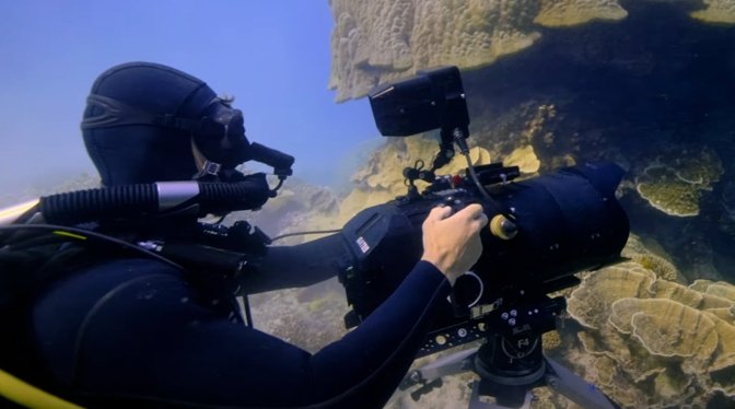 photo of Apple TV+ 'Tiny World' filmmakers used gas-retaining diving gear for underwater shots image