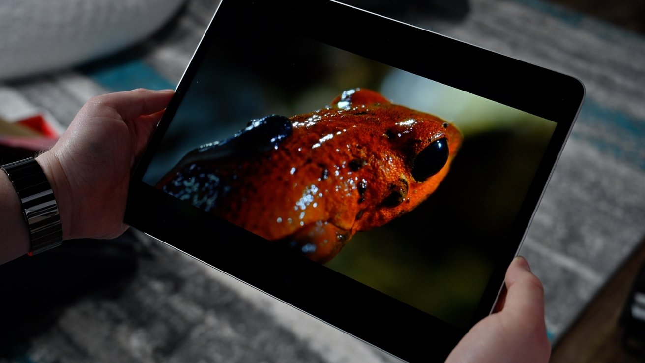 Beautiful Liquid Retina XDR display on the 12.9-inch iPad Pro (2021)