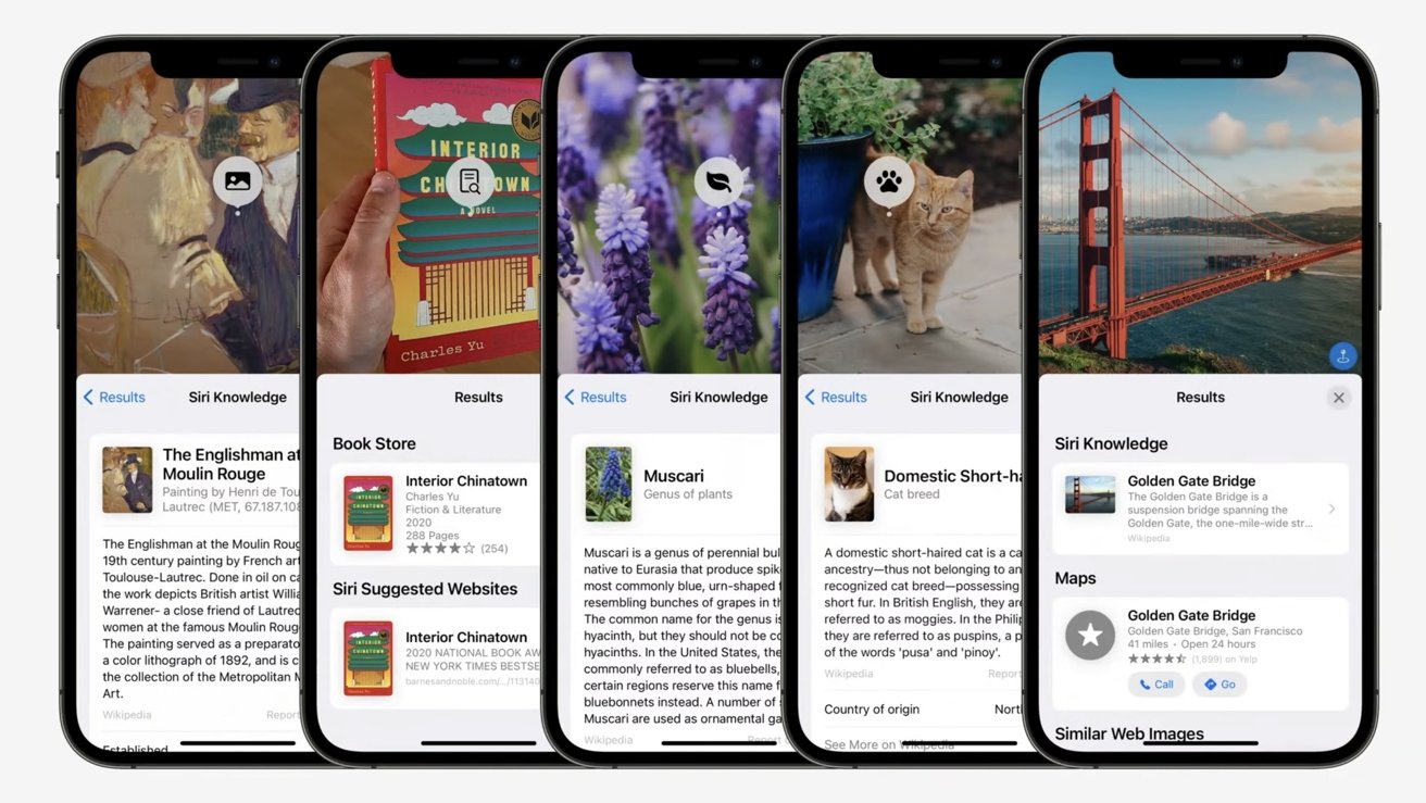 iOS 15 Live Text feature can copy and paste text from any image