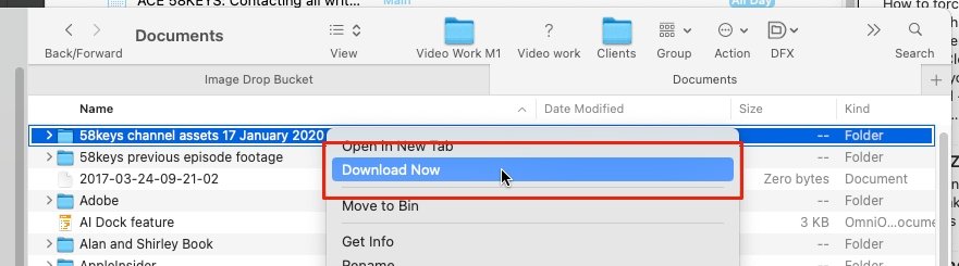 Navigate to the file in the Finder, then right-click and choose Download Now