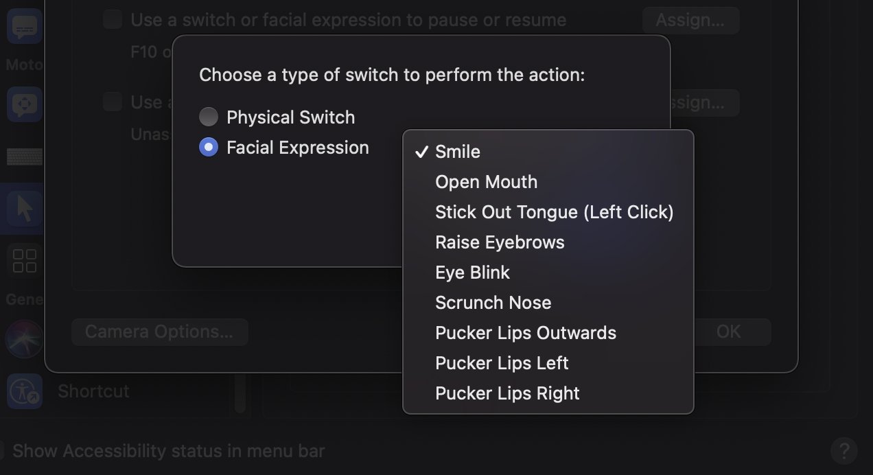 There's quite an extensive list of facial expressions Head Pointer can detect. 